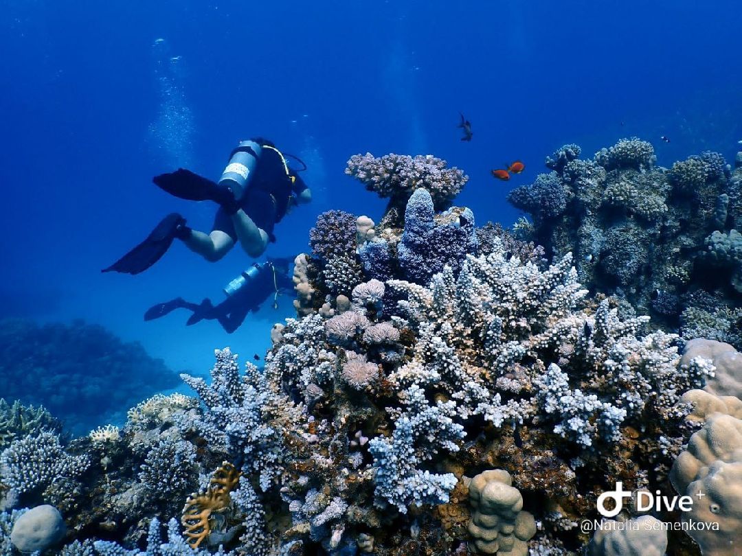 Озёры, Коломна, Орехово-Зуево, Воскресенск, Серебряные Пруды, Егорьевск, Котельники, Протвино, Химки, Щелково, Солнечногорск, Лосино-Петровский, Красногорск, Лобня, Долгопрудный, Зарайск, Кашира, Ступино, Волоколамск, Истра, Руза, Лотошино, Шаховская, Наро-Фоминск, Можайск, Мытищи, Одинцово, Звенигород, Краснознаменск, Павловский Посад, Дубна, Талдом, Сергиев Посад, Электрогорск, Электросталь, Пущино, Серпухов, Чехов, Жуковский, Шатура, Луховицы, Рошаль, Домодедово, Подольск, Ленинский г.о,. Фрязино, Пушкино, Королёв, Подмосковье сегодня, Телеканал 360tv, Радио 1, Реутов, Лыткарино, Люберцы, Дмитров, Клин, Раменское, Богородский, Черноголовка, Балашиха, Стрингеры, РИАМО